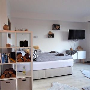 Nature Vibes Winterberg Ferienwohnung Pool Sauna Terrasse Wifi Balkon Near Bikepark